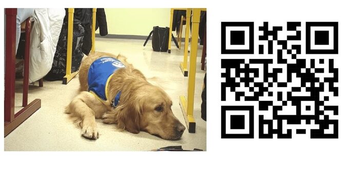 Accès direct à la collecte avec le QRcode
